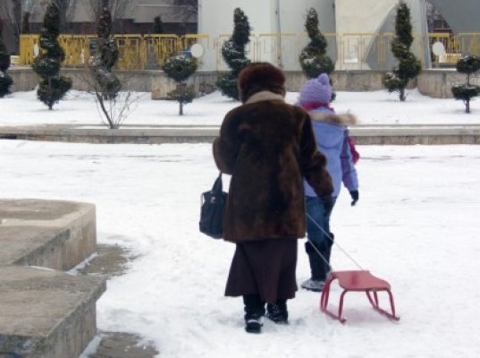 Viscolul şi ninsoarea nu au creat probleme în judeţul Constanţa